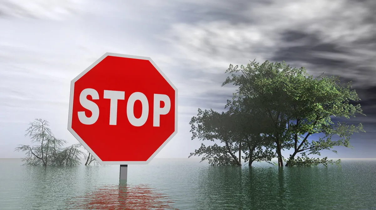 Understanding Medicare Special Enrollment Periods in Louisiana